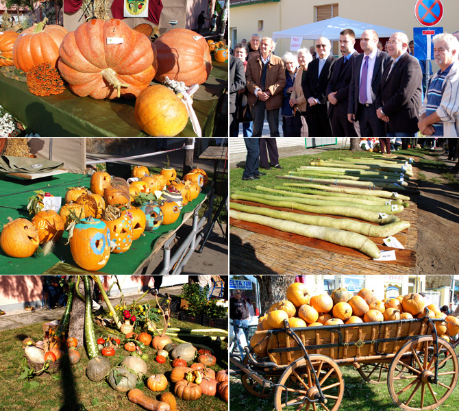 Tökfesztival Temerin 2014.